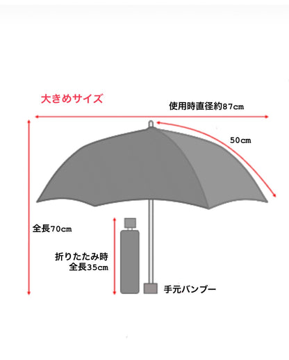 晴れの日も雨の日も、装いを引き立てる大人の一本